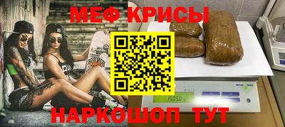 ешки Кингисепп
