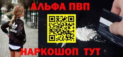 ешки Кингисепп