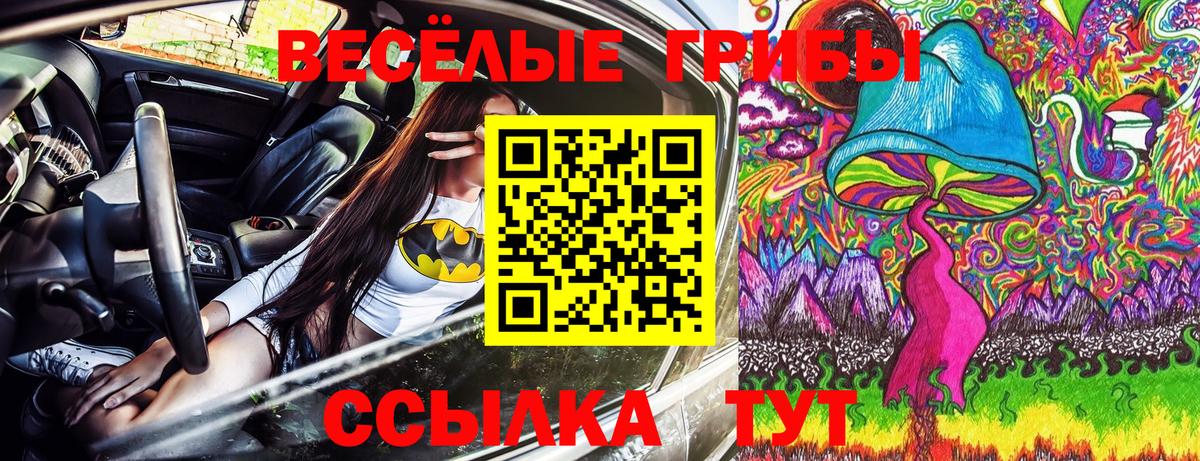 Псилоцибиновые грибы прущие грибы  Псилоцибиновые грибы GOLDEN TEACHER  Вход с VPN  Кольчугино 